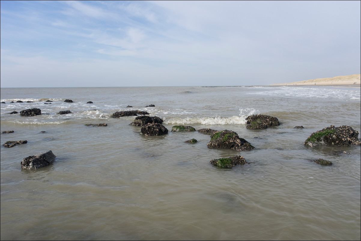 Wandeling Petten - Den Helder