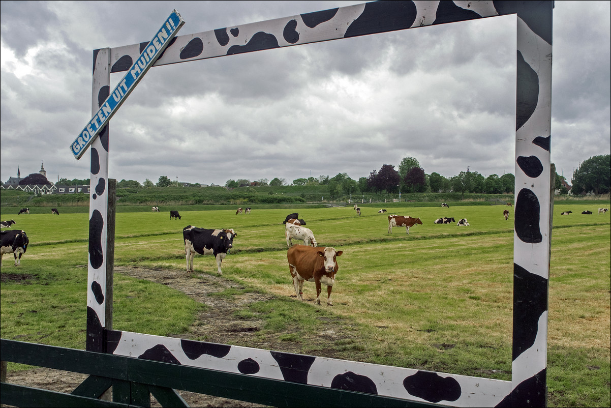 Westerborkpad Weesp Bussum