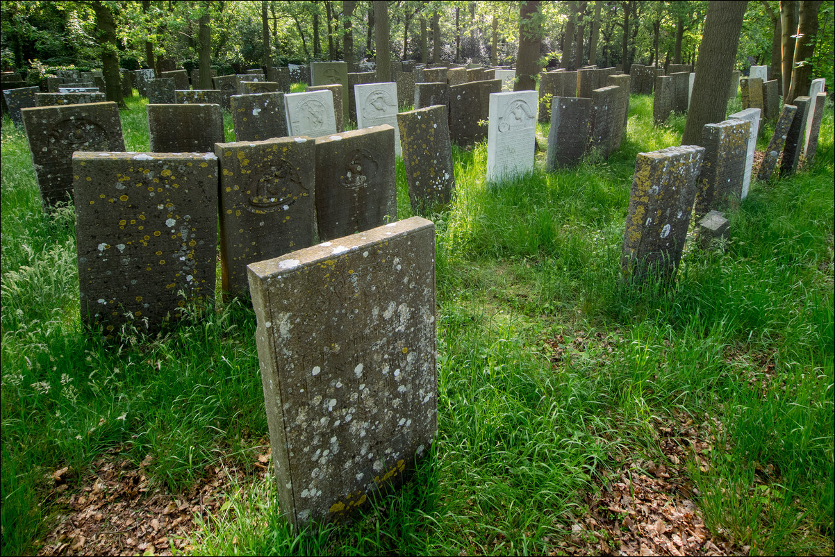 Westerborkpad Weesp Bussum