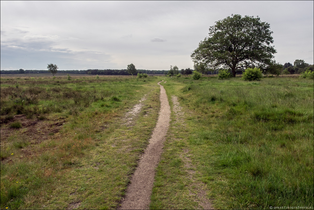 Westerborkpad Bussum - Hilversum Sportpark