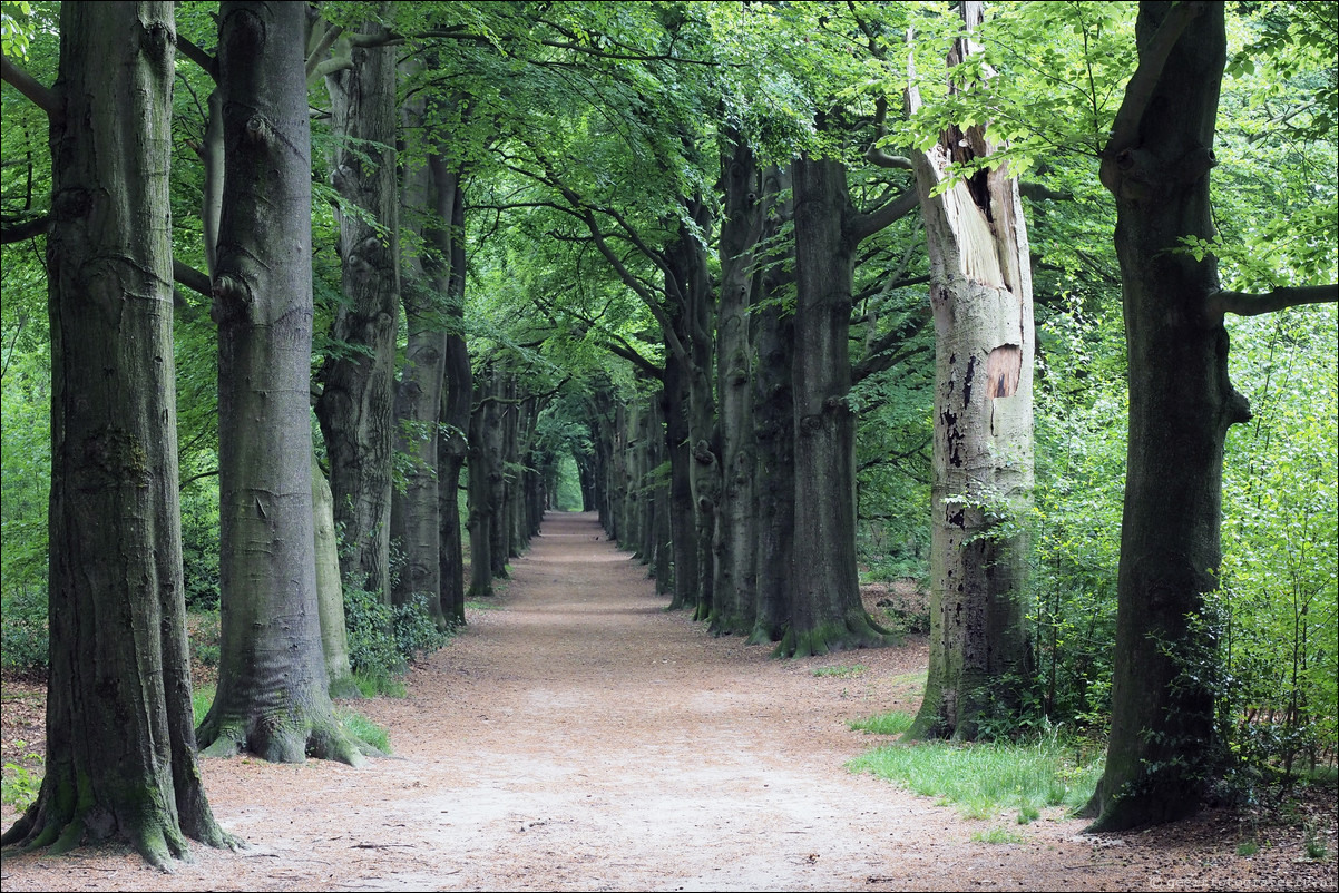 Westerborkpad Bussum - Hilversum Sportpark