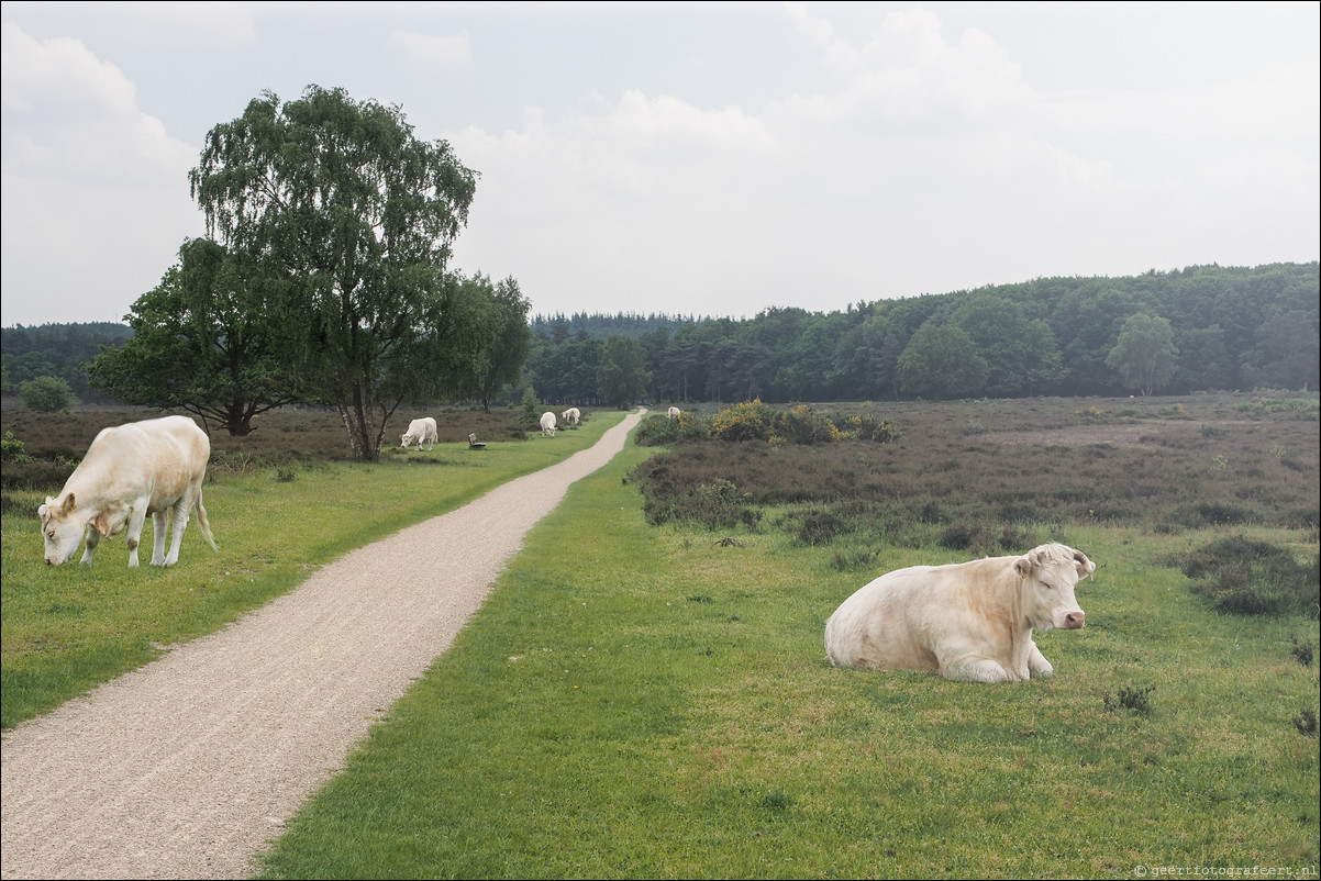 Westerborkpad Bussum - Hilversum Sportpark