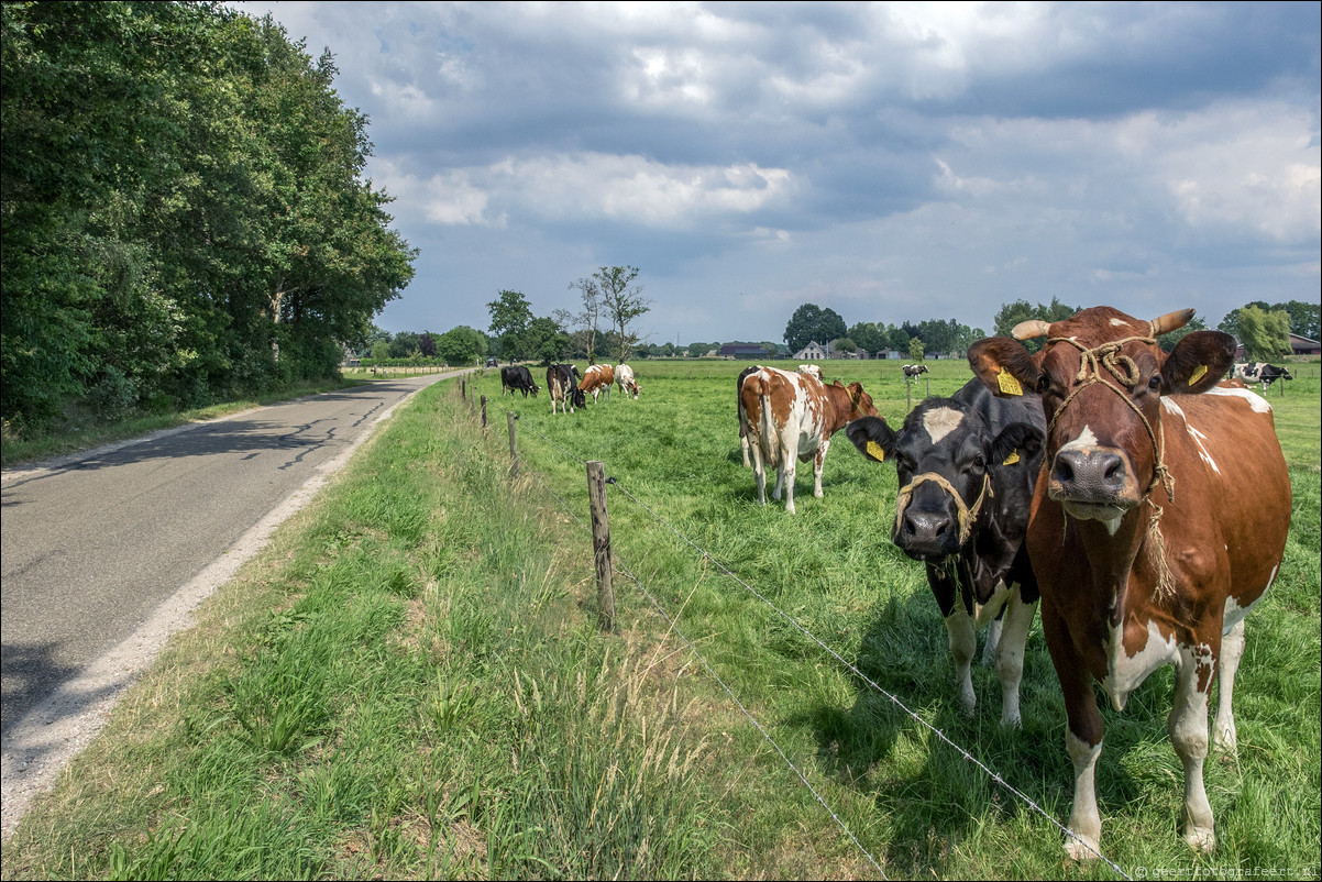 Westerborkpad Nijkerk Putten