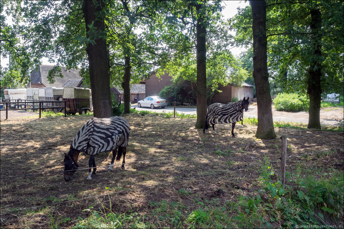 Westerborkpad Nijkerk Putten