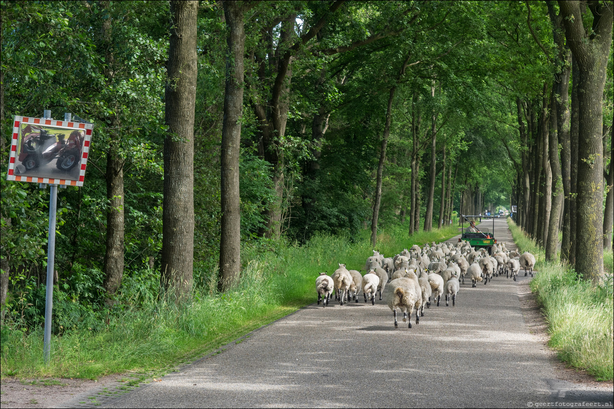 Westerborkpad Putten Harderwijk