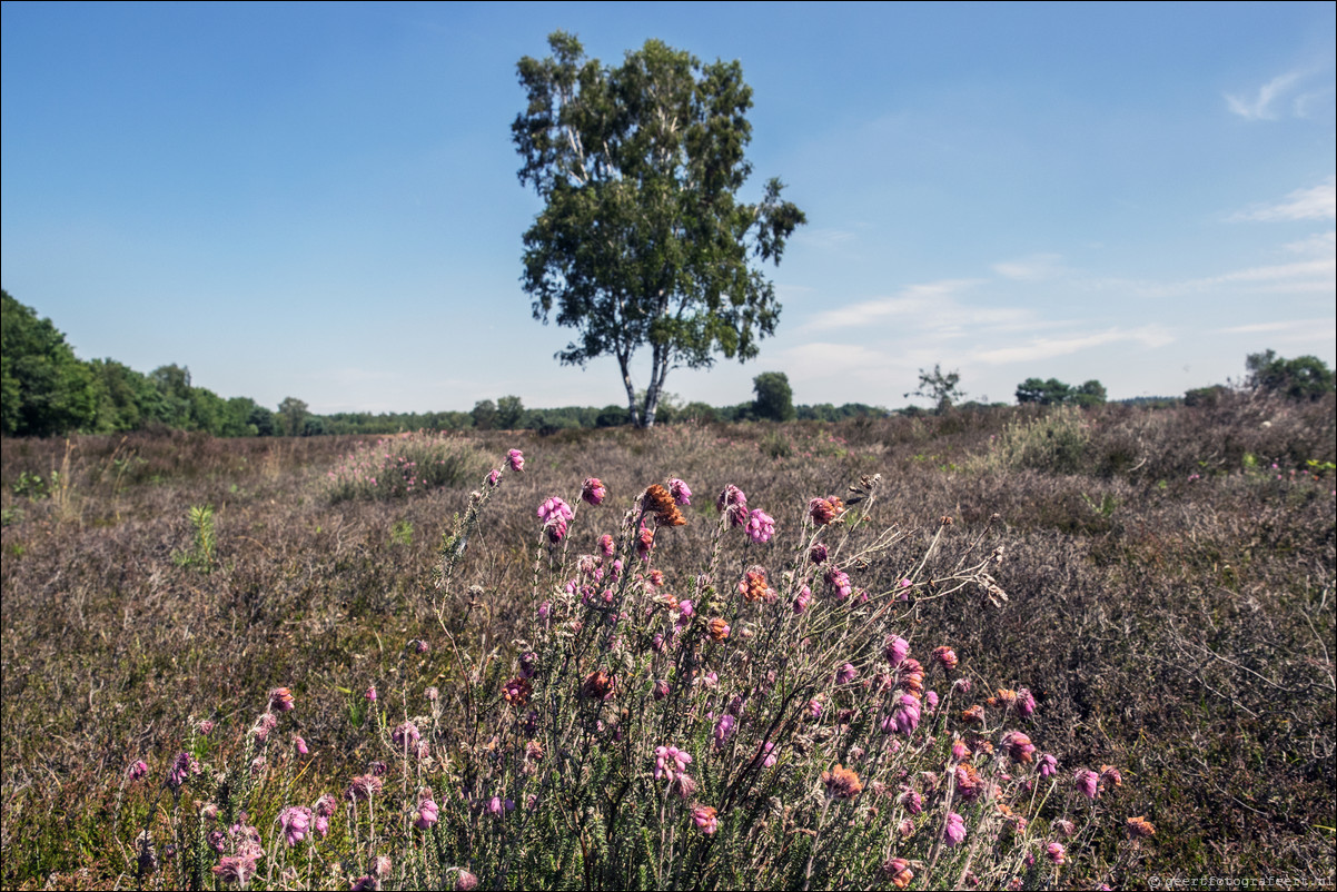 Westerborkpad Putten Harderwijk