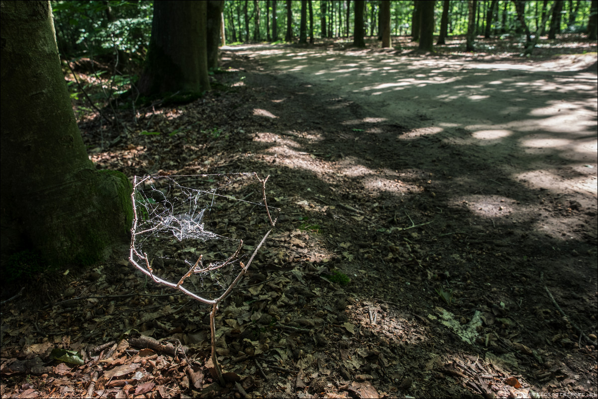 Westerborkpad Putten Harderwijk