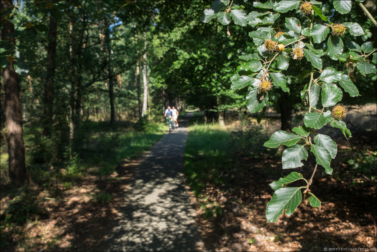 Westerborkpad Harderwijk Nunspeet