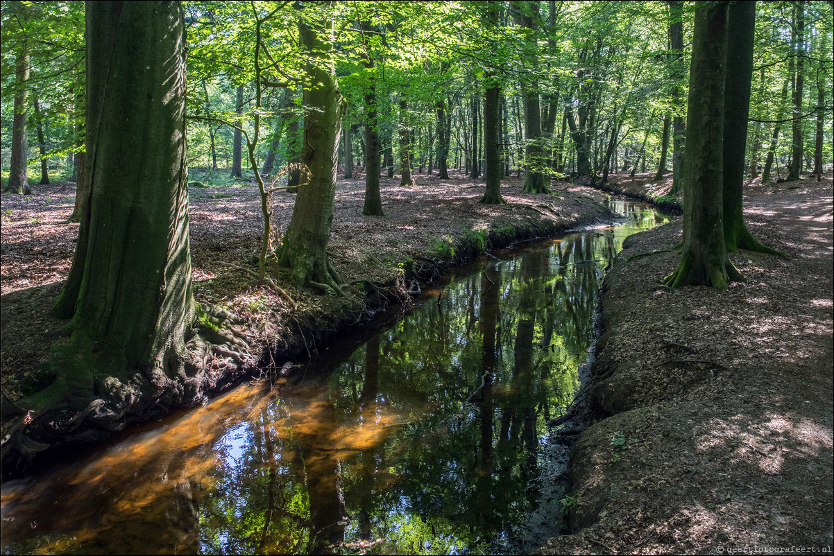 Westerborkpad Harderwijk Nunspeet