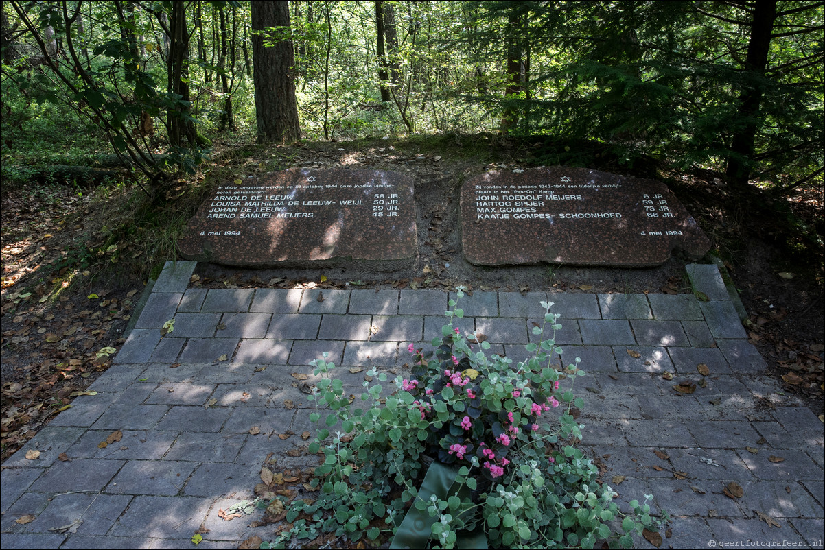 Westerborkpad Nunspeet - Vierhouten - Nunspeet