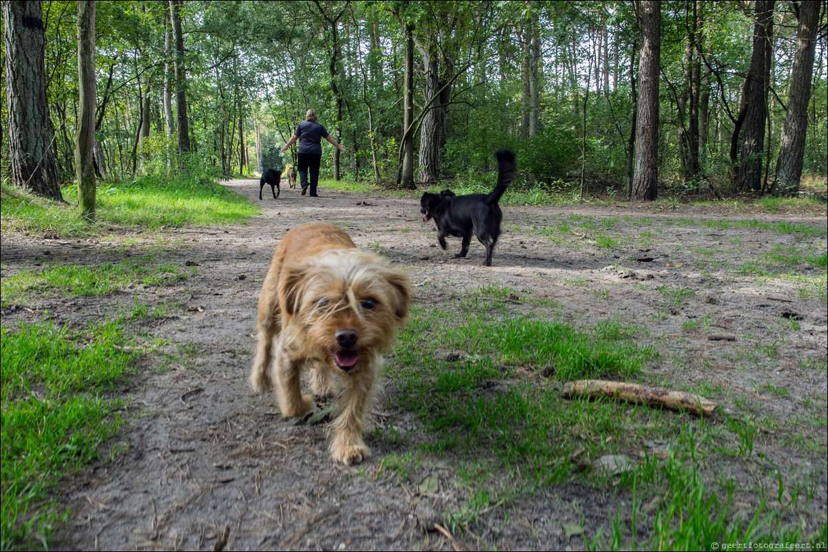 Westerborkpad Nunspeet - 't Harde