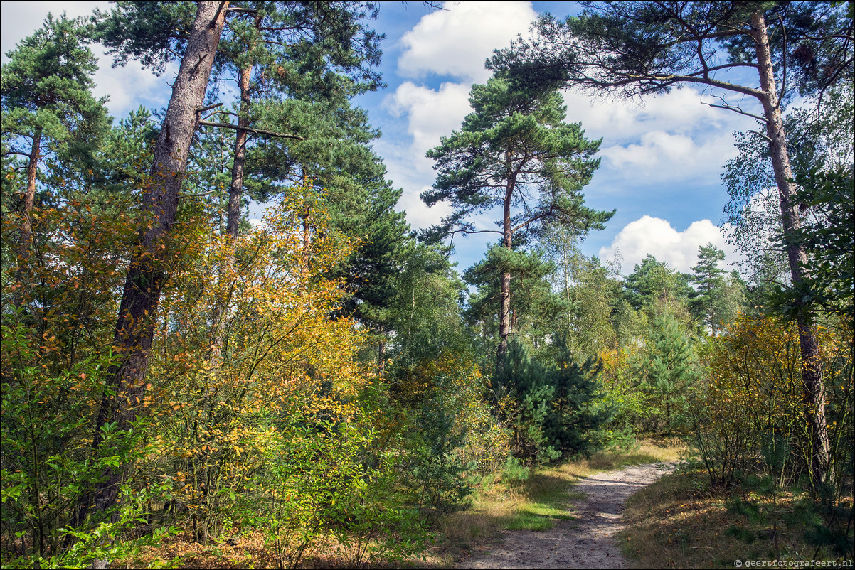 Westerborkpad Nunspeet - 't Harde