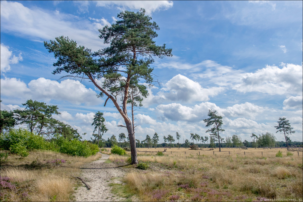 Westerborkpad Nunspeet - 't Harde