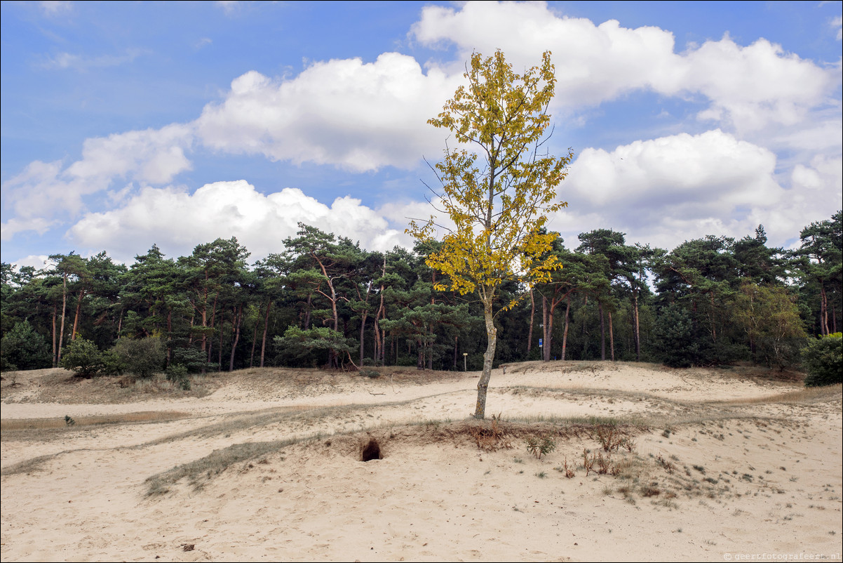 Westerborkpad Nunspeet - 't Harde