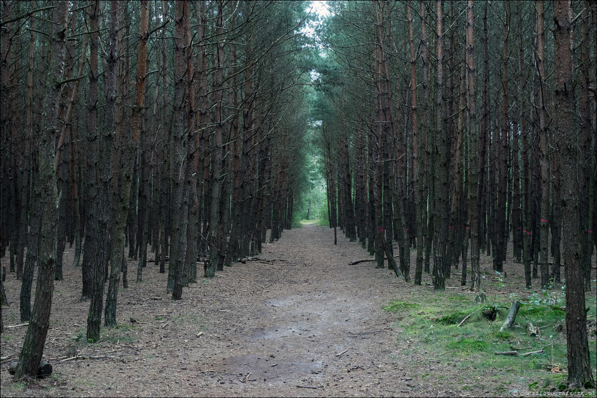 Westerborkpad Nunspeet - 't Harde