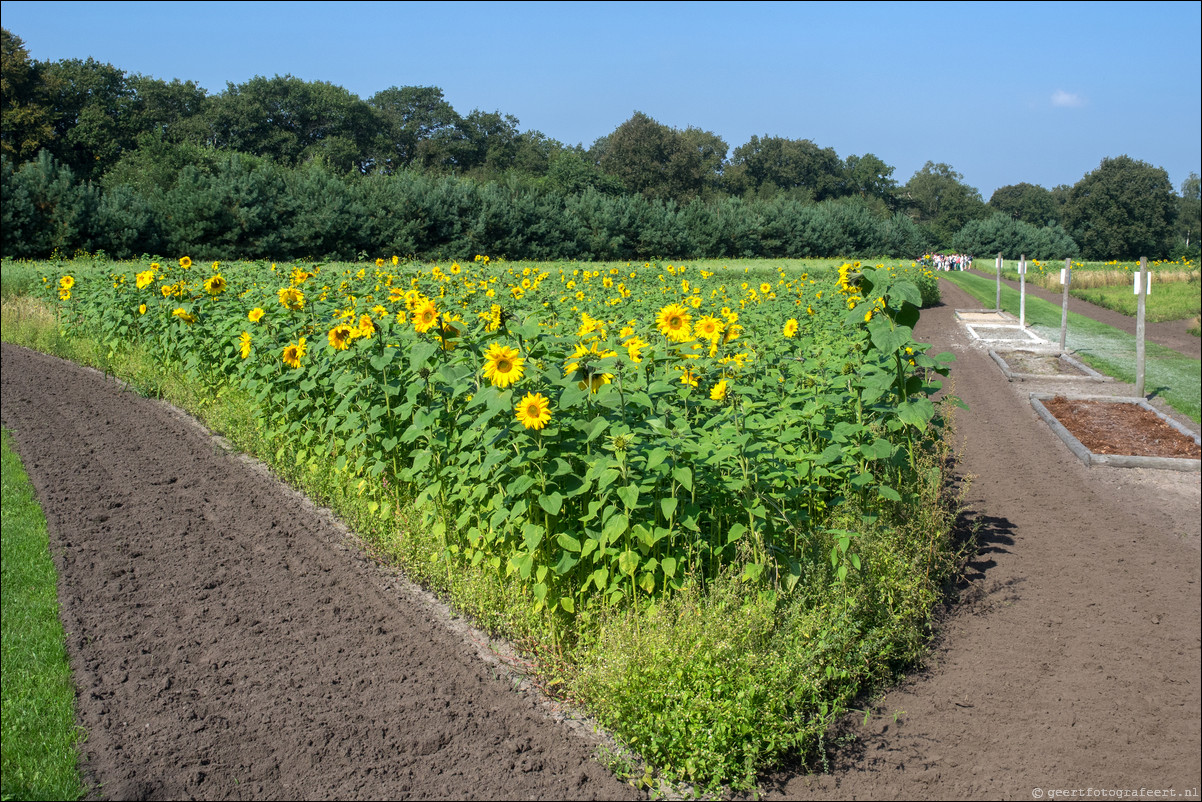 Westerborkpad 't Harde - Elberg - 't Harde