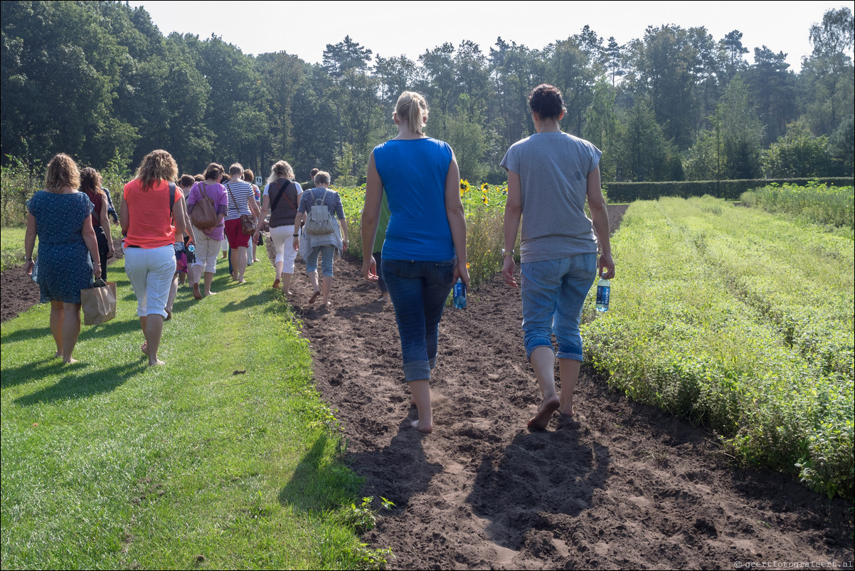 Westerborkpad 't Harde - Elberg - 't Harde