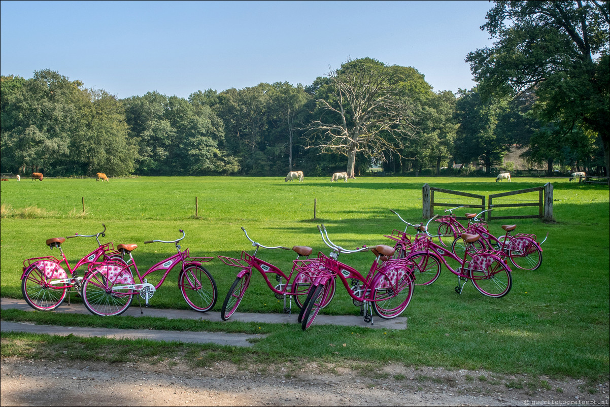 Westerborkpad 't Harde - Elberg - 't Harde