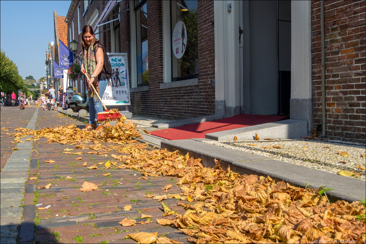 Westerborkpad 't Harde - Elberg - 't Harde