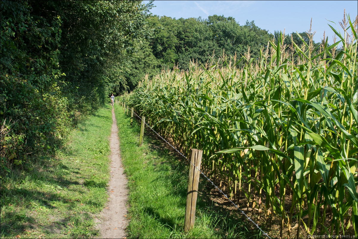 Westerborkpad 't Harde - Elberg - 't Harde