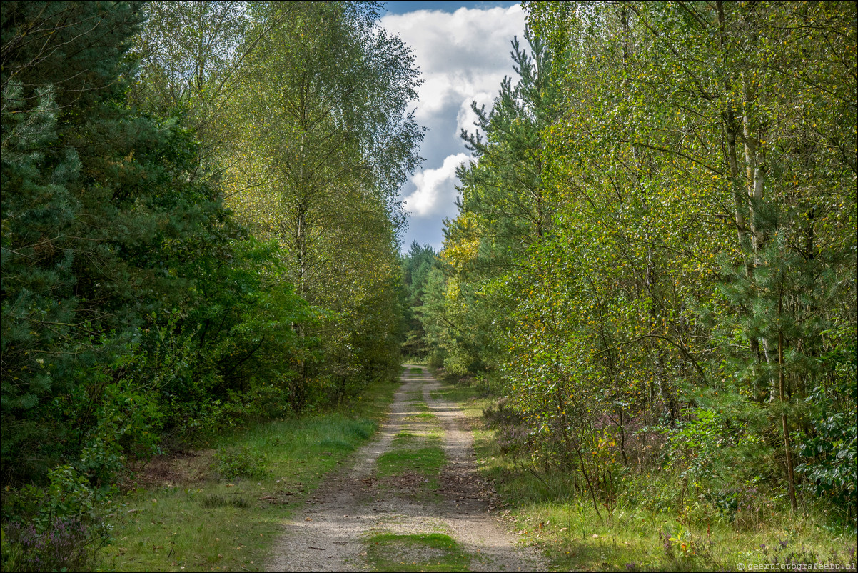 Westerborkpad 't Harde - Wezep