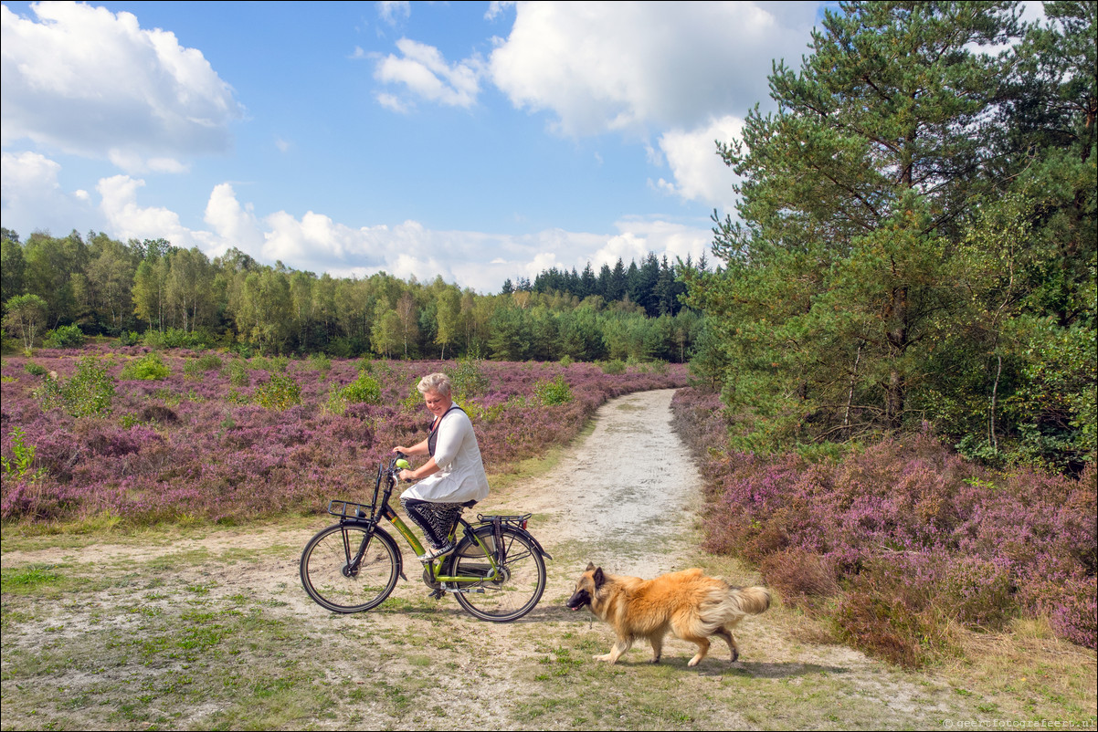 Westerborkpad 't Harde - Wezep