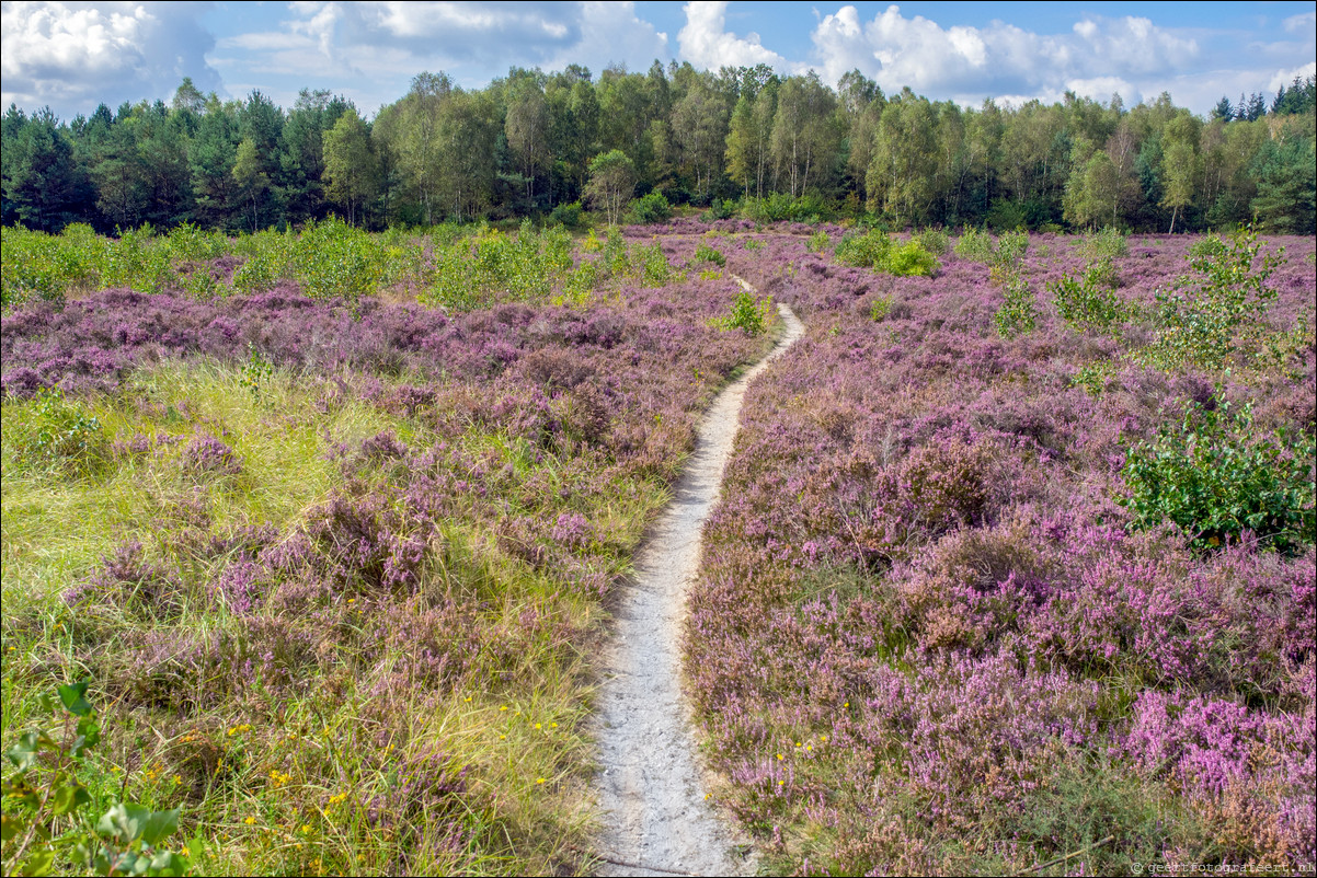 Westerborkpad 't Harde - Wezep