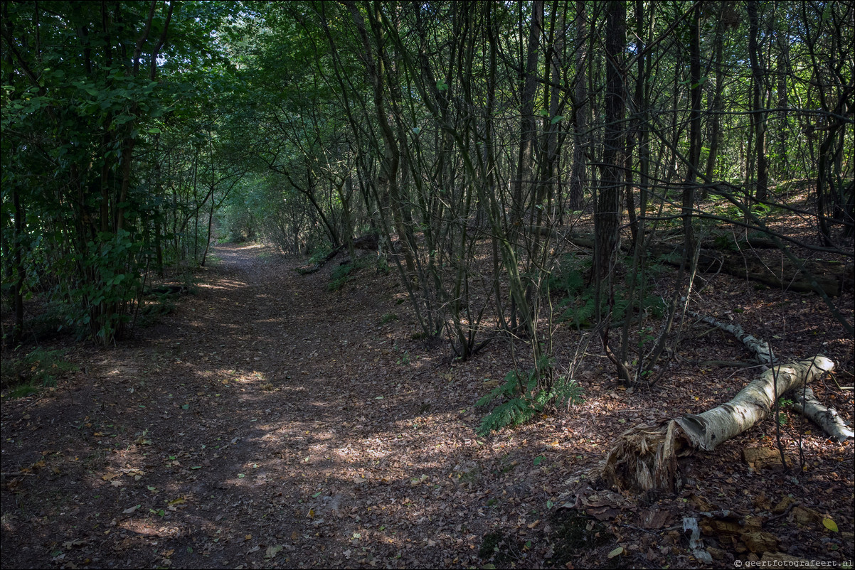 Westerborkpad 't Harde - Wezep