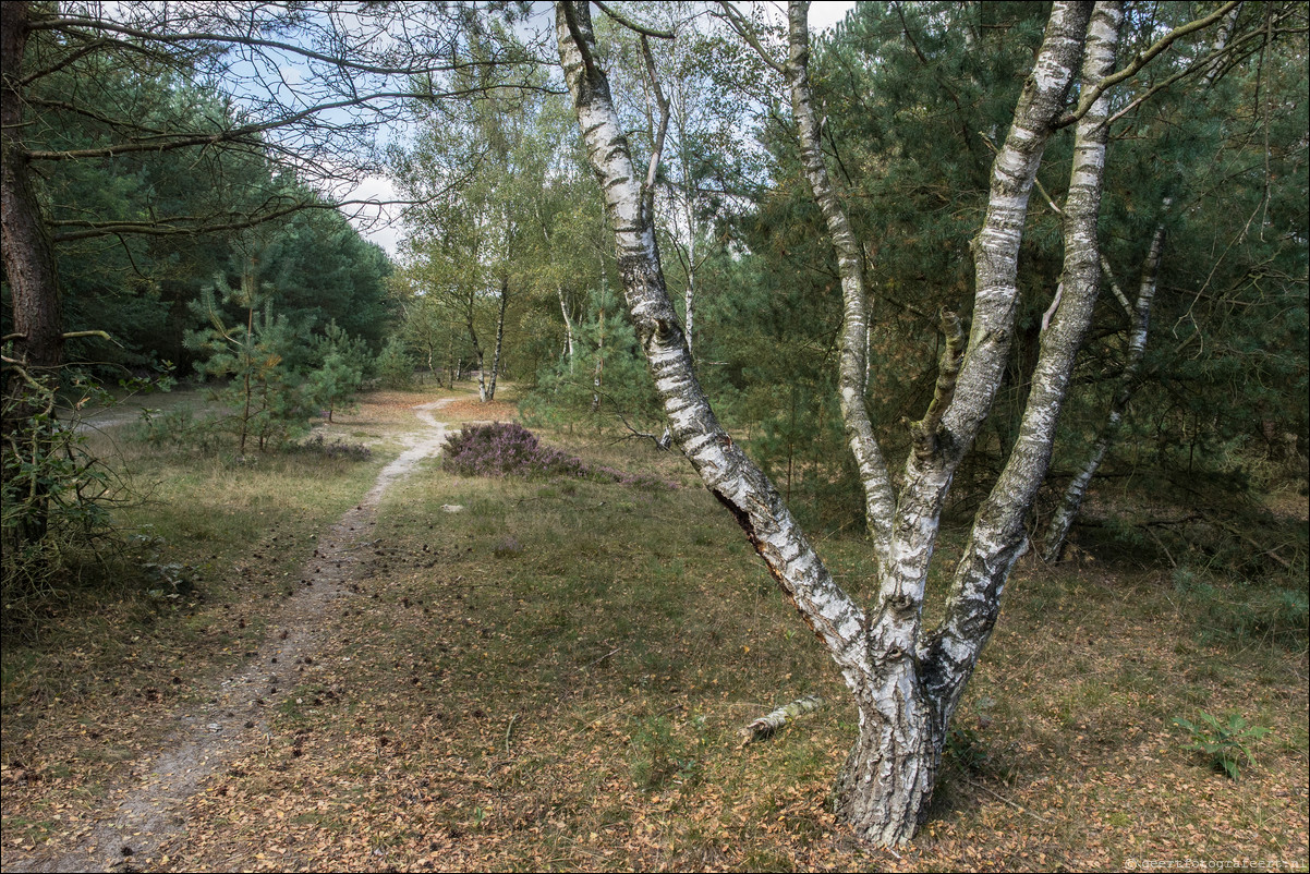 Westerborkpad 't Harde - Wezep