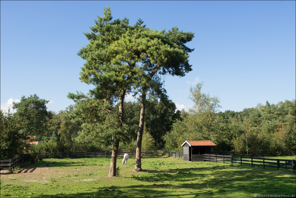 Westerborkpad 't Harde - Wezep