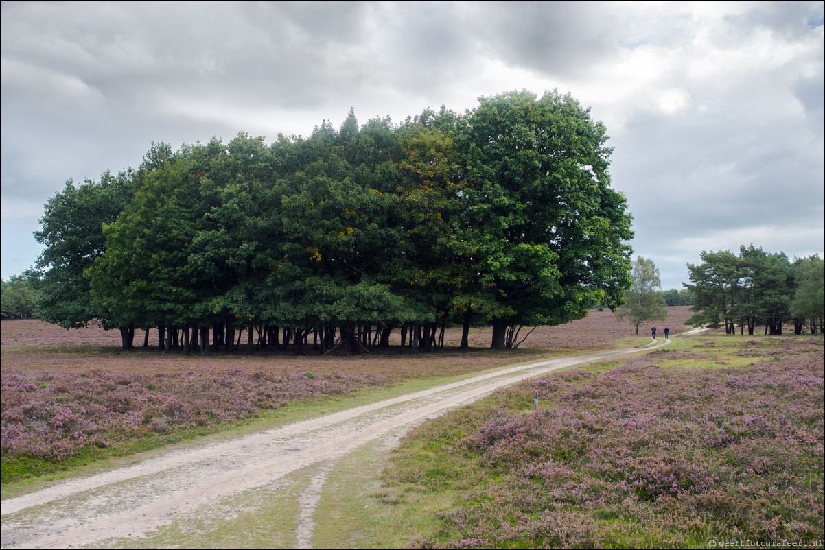 Westerborkpad Wezep - Zwolle