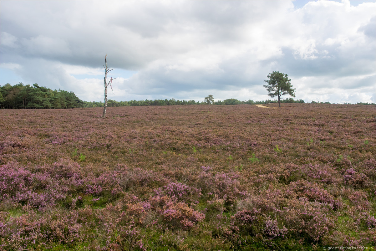 Westerborkpad Wezep - Zwolle