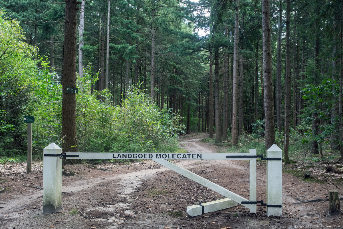 Westerborkpad Wezep - Zwolle