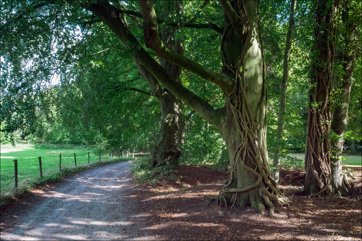 Westerborkpad Wezep - Zwolle