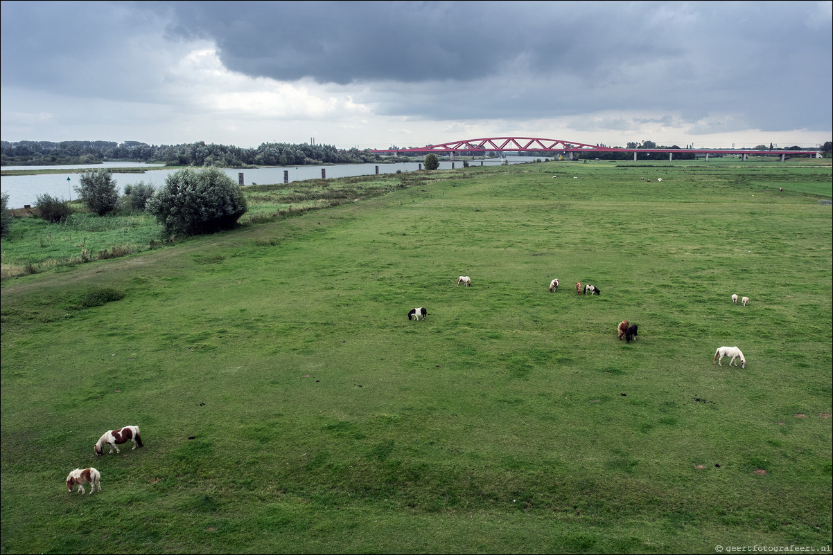 Westerborkpad Wezep - Zwolle