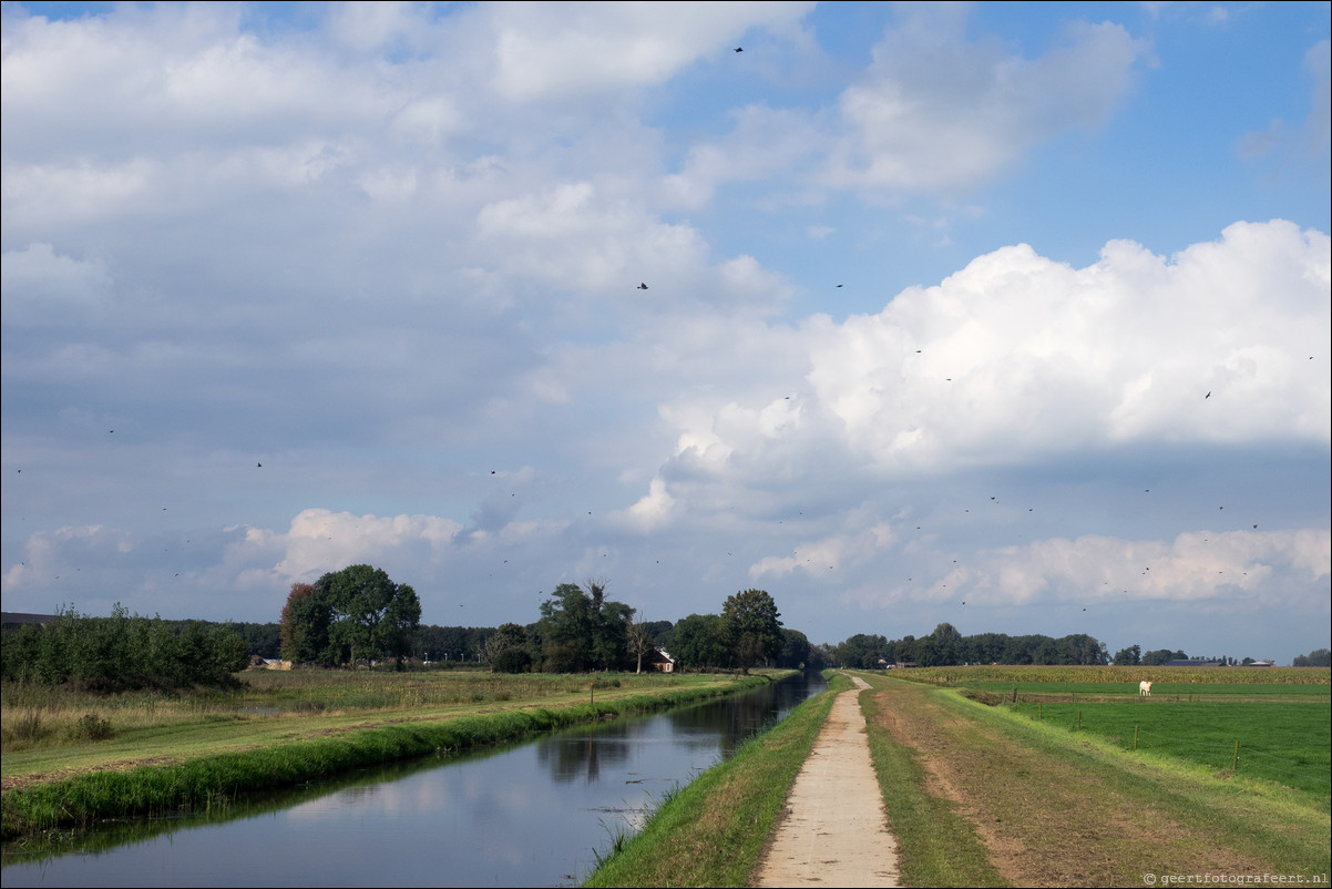 Westerborkpad Zwolle - Lichtmis 