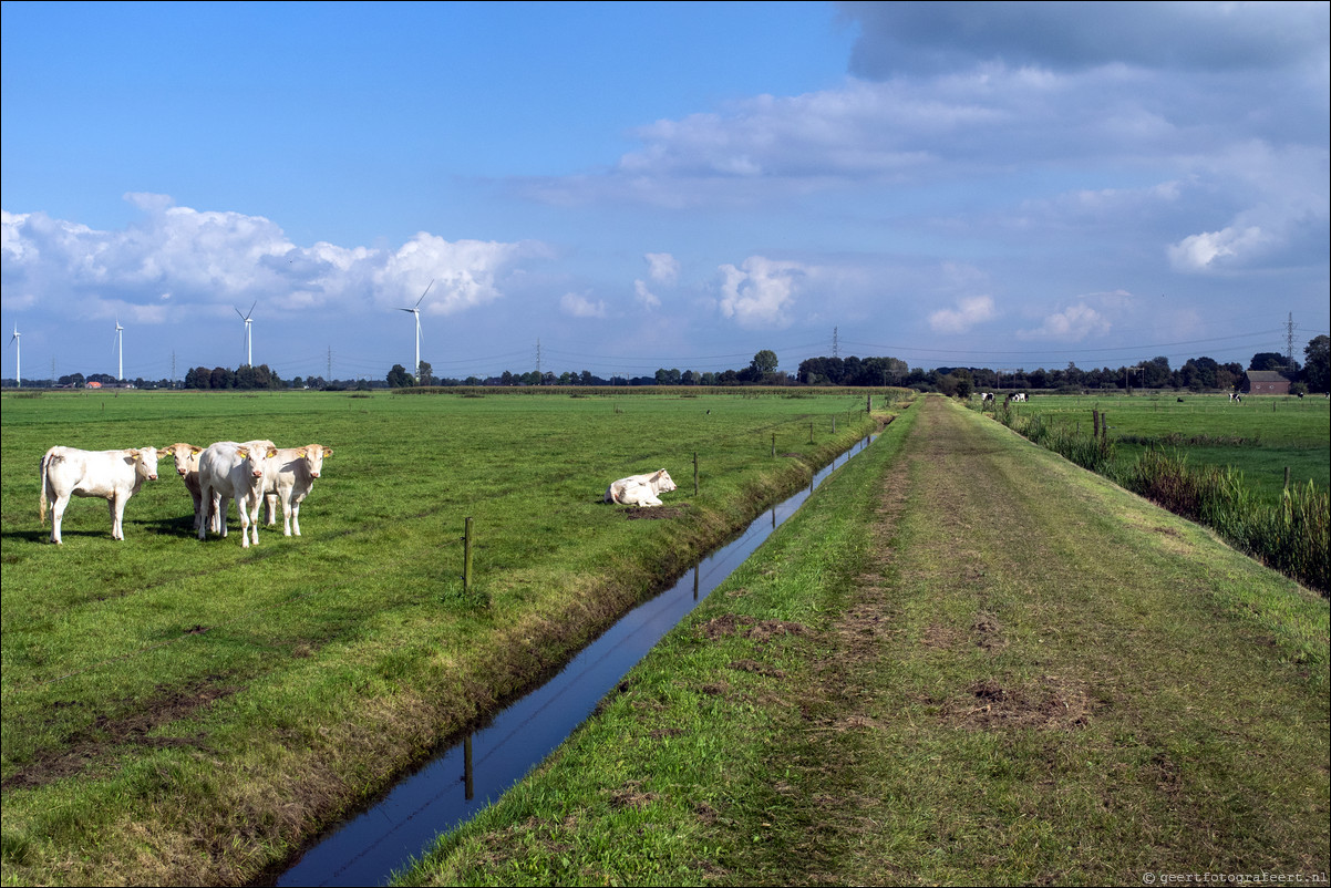 Westerborkpad Zwolle - Lichtmis 