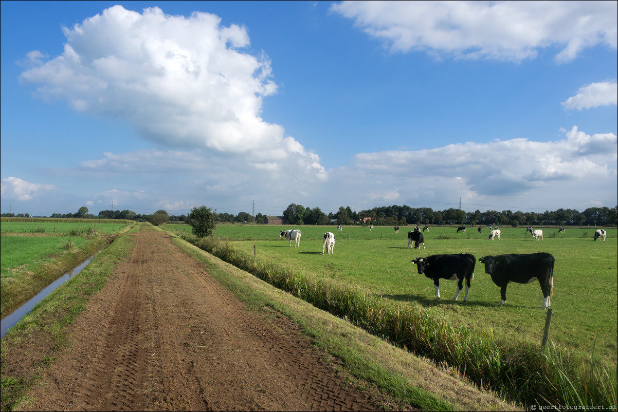 Westerborkpad Zwolle - Lichtmis 