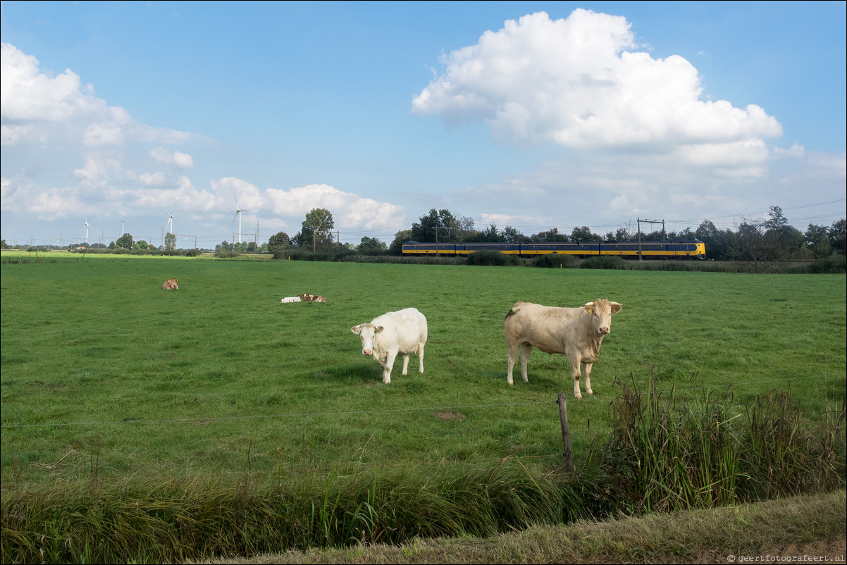 Westerborkpad Zwolle - Lichtmis 