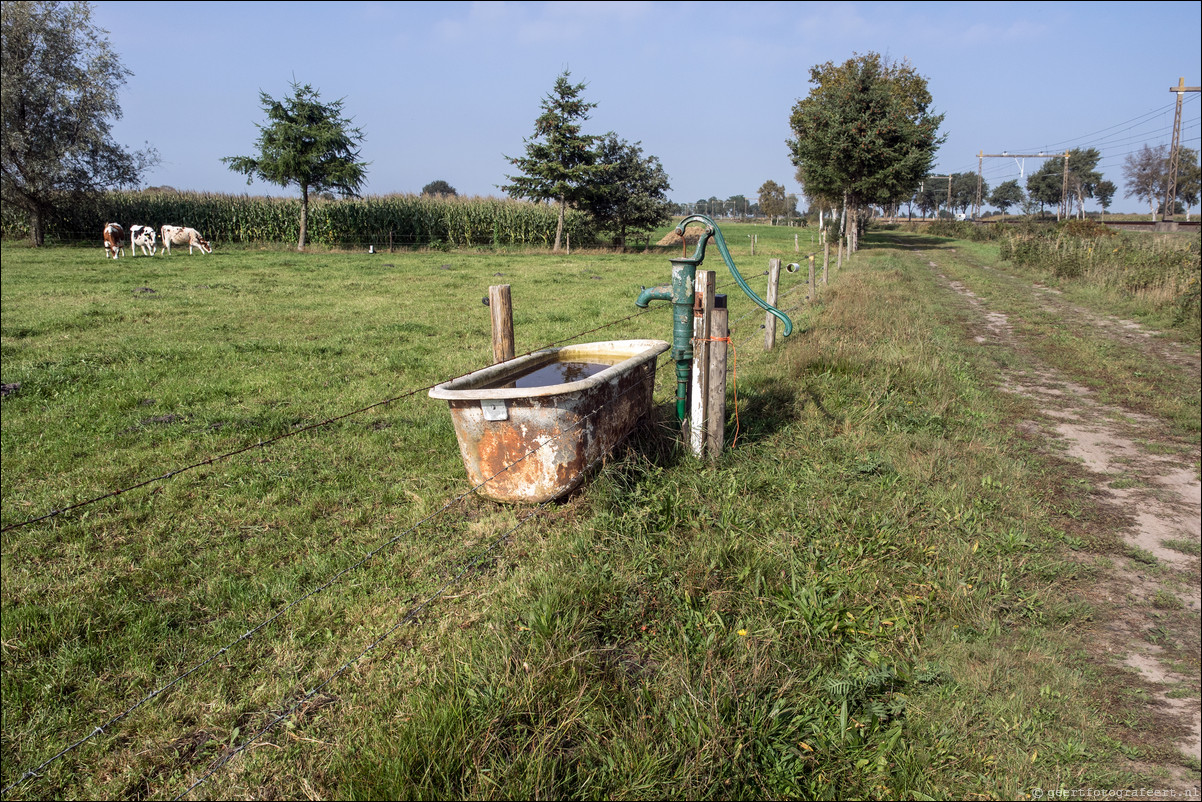 Westerborkpad Lichtmis - Meppel