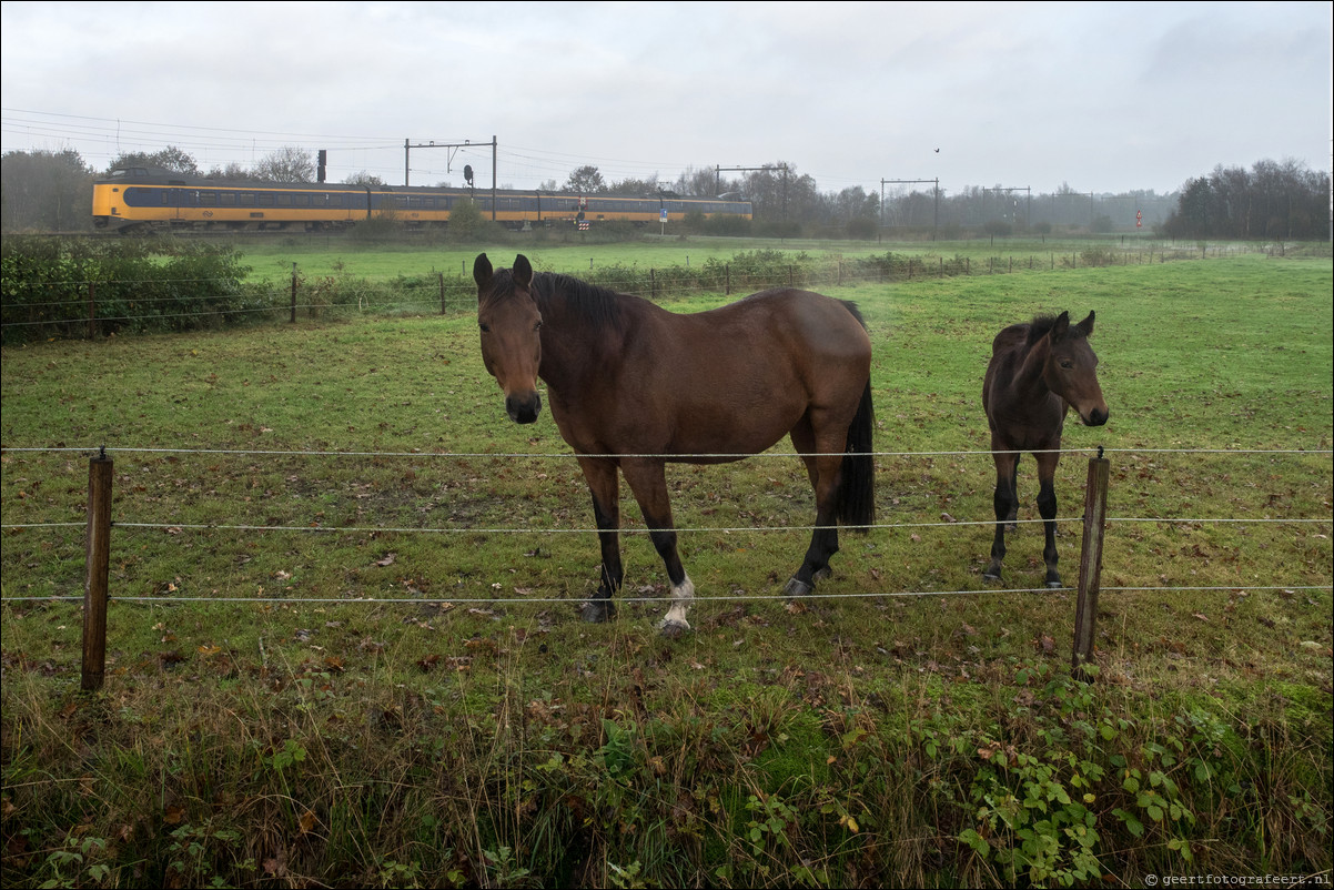 Westerborkpad Hoogeveen - Beilen