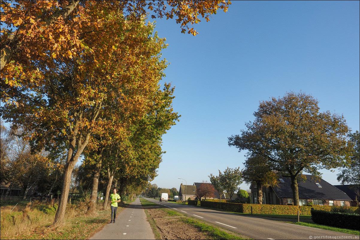 Westerborkpad Beilen - Westerbork