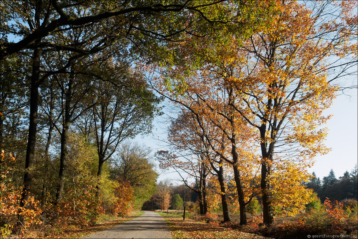 Westerborkpad Beilen - Westerbork