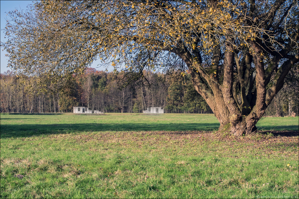 Westerborkpad Beilen - Westerbork