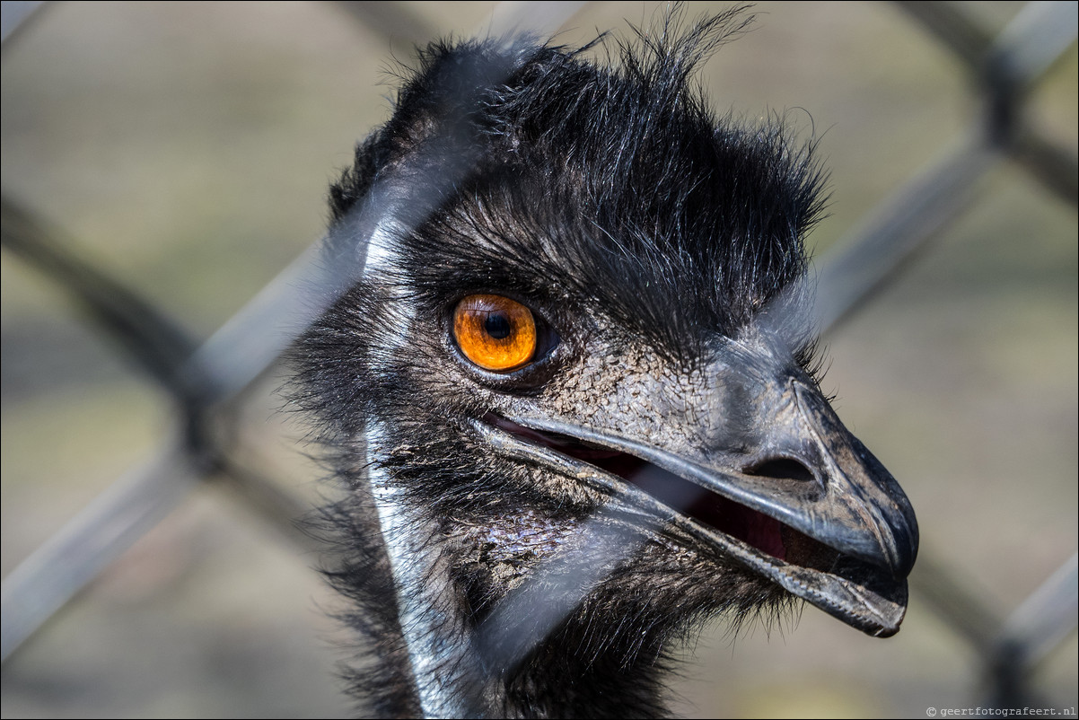 Dierenpark Hoenderdael