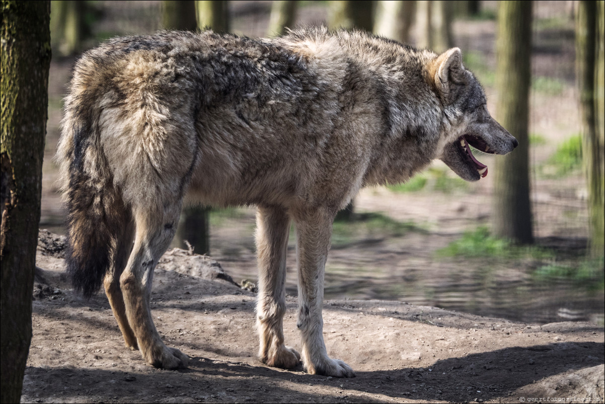 Dierenpark Hoenderdael