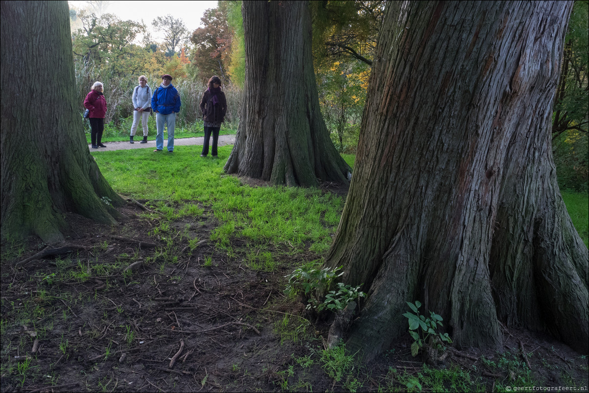 Stiltewandeling - Dag van de Stilte 2015