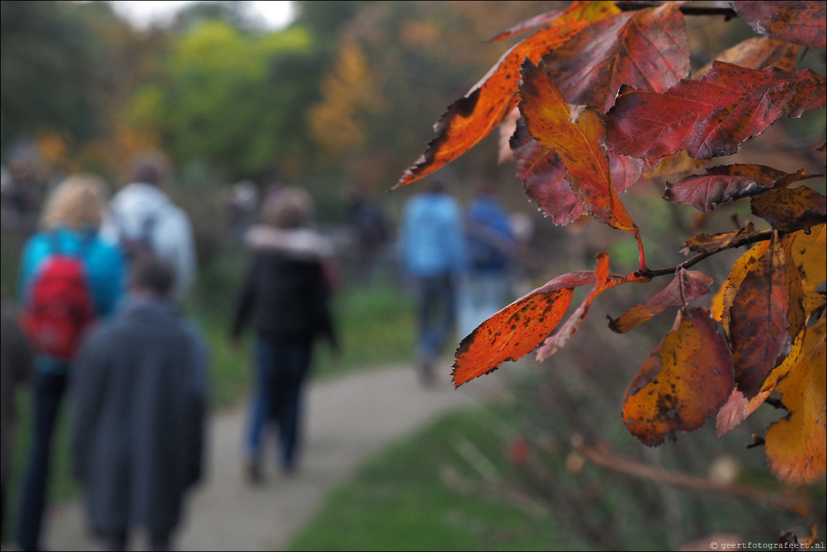 Stiltewandeling - Dag van de Stilte 2015