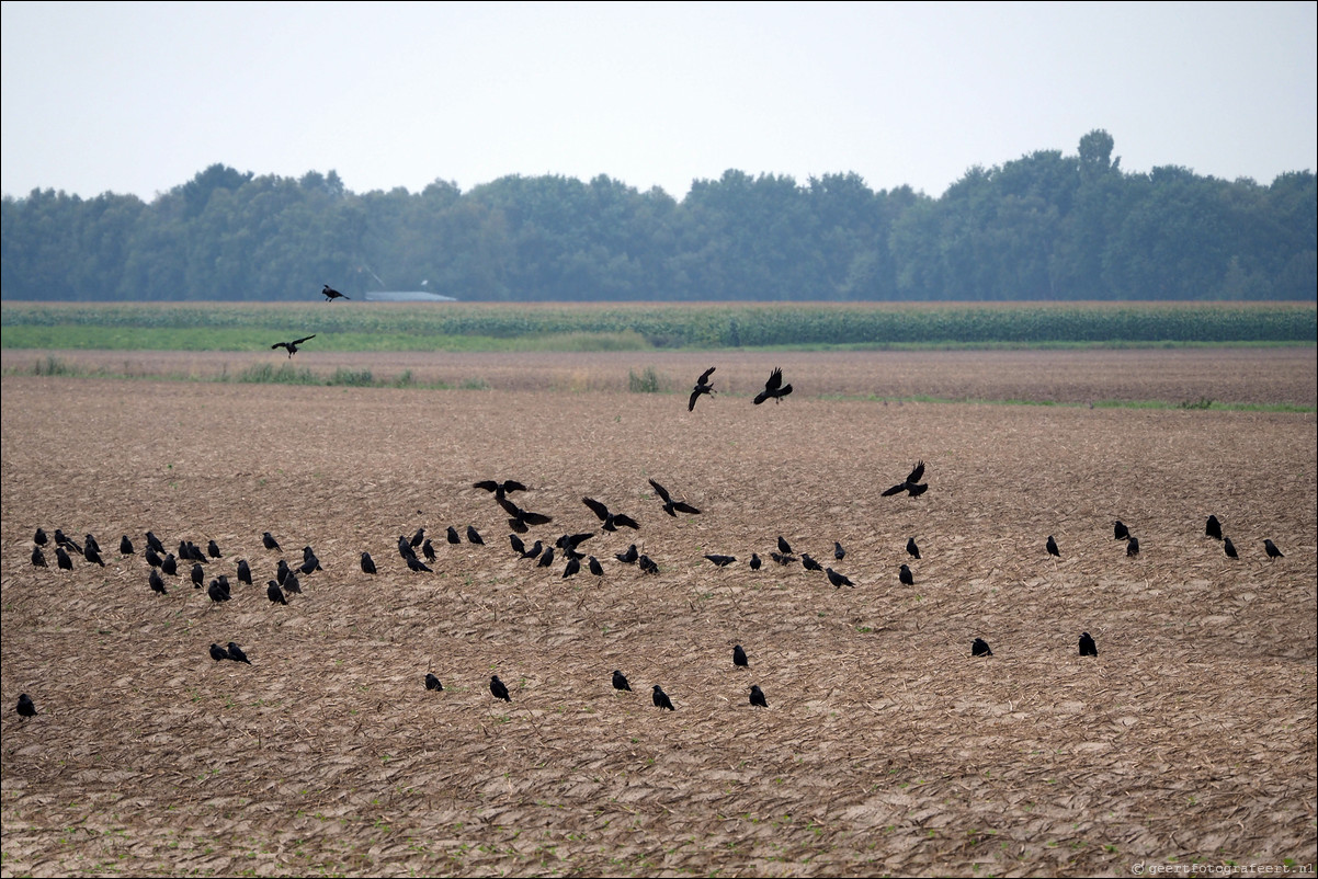 Grenspad: Ter Apel - Weiteveen