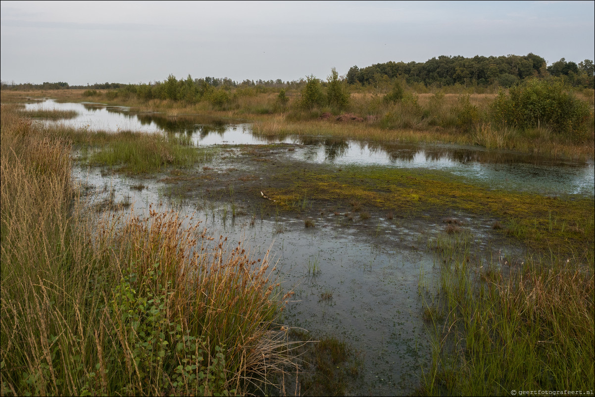 Grenspad: Ter Apel - Weiteveen